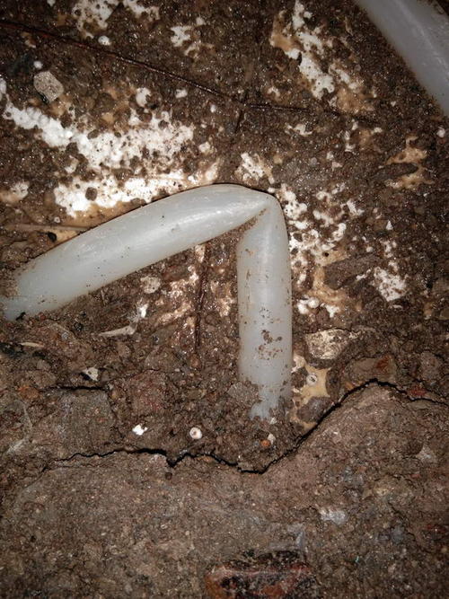 瑞安堵点精准查找